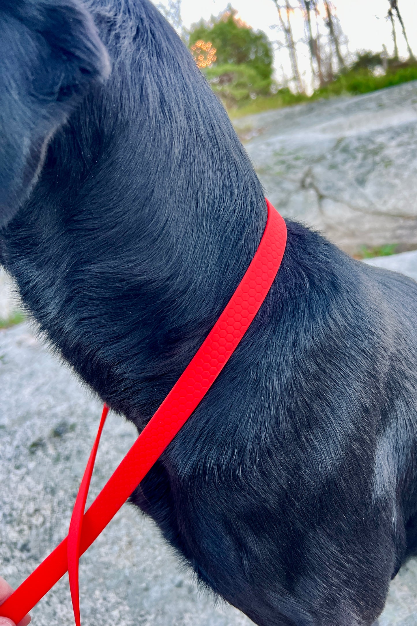 Agda halvstryp halsband med kedja