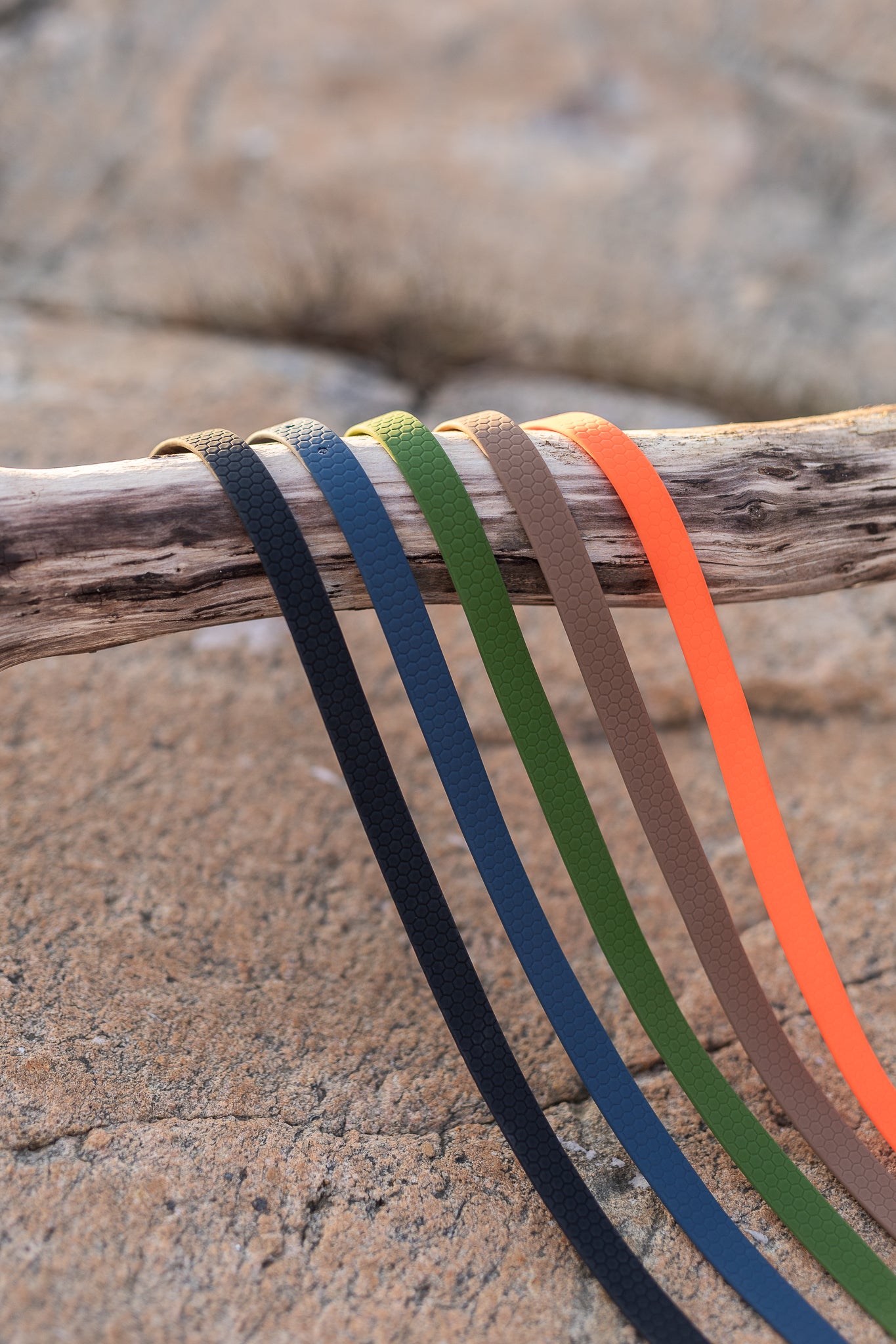 Sally adjustable dog collar