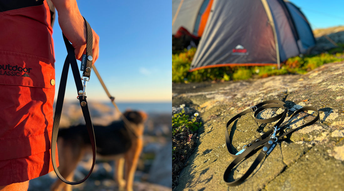 Justerbart Multikoppel i hexa material med twistlock eller swedish snap hook eller bgb hake