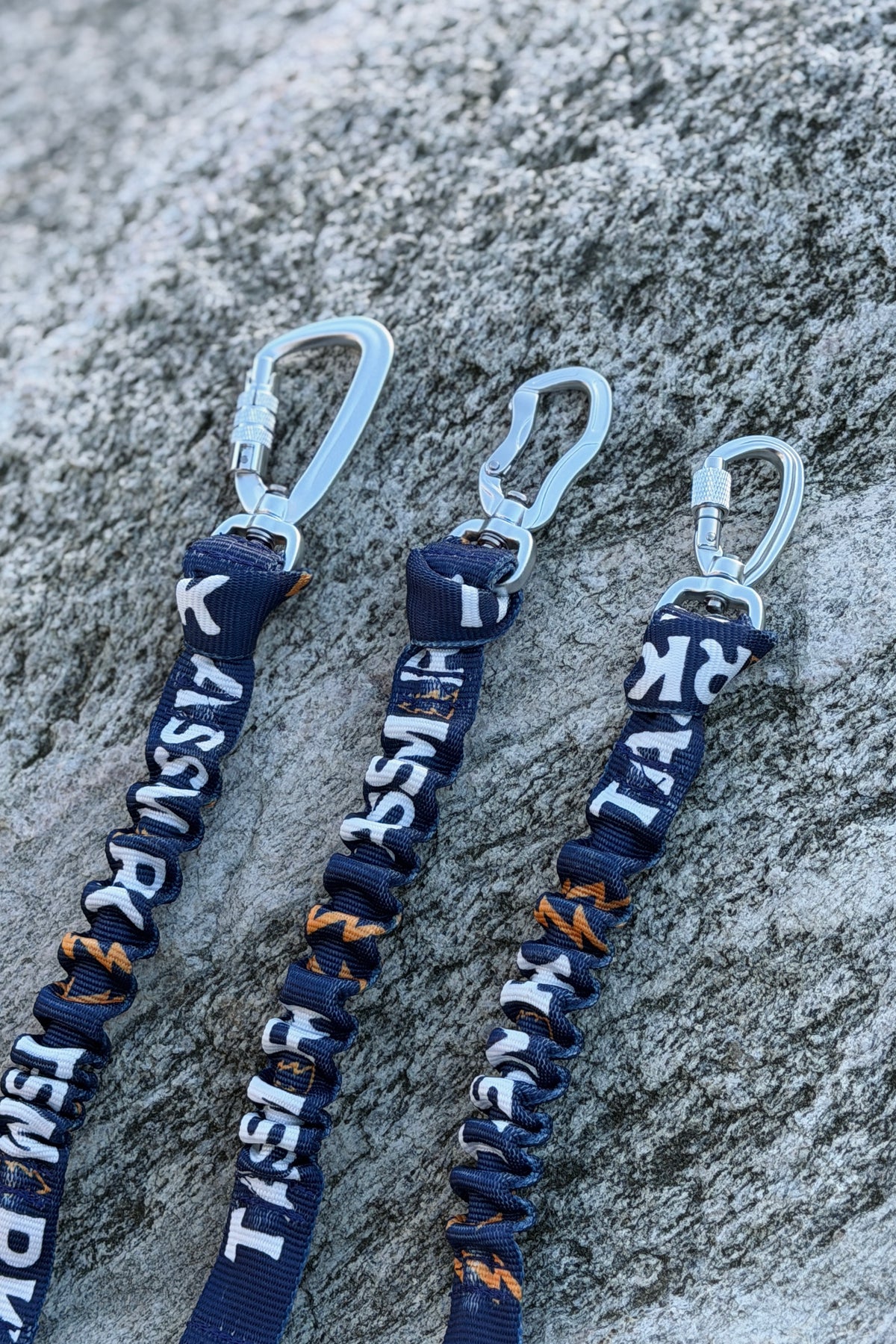 Elastic Bungee Leash Extender
