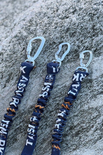 Elastic Bungee Leash Extender