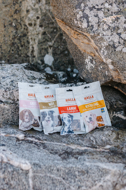 Halla hundgodis blandlåda (storpack)