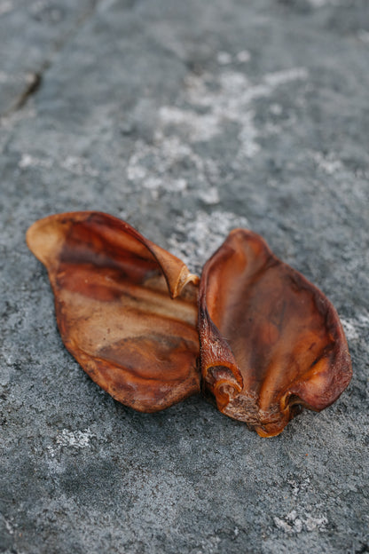 Halla grisöron