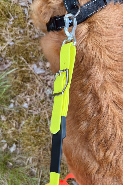 Häxa spårlina för eftersök och viltspår 6-12m