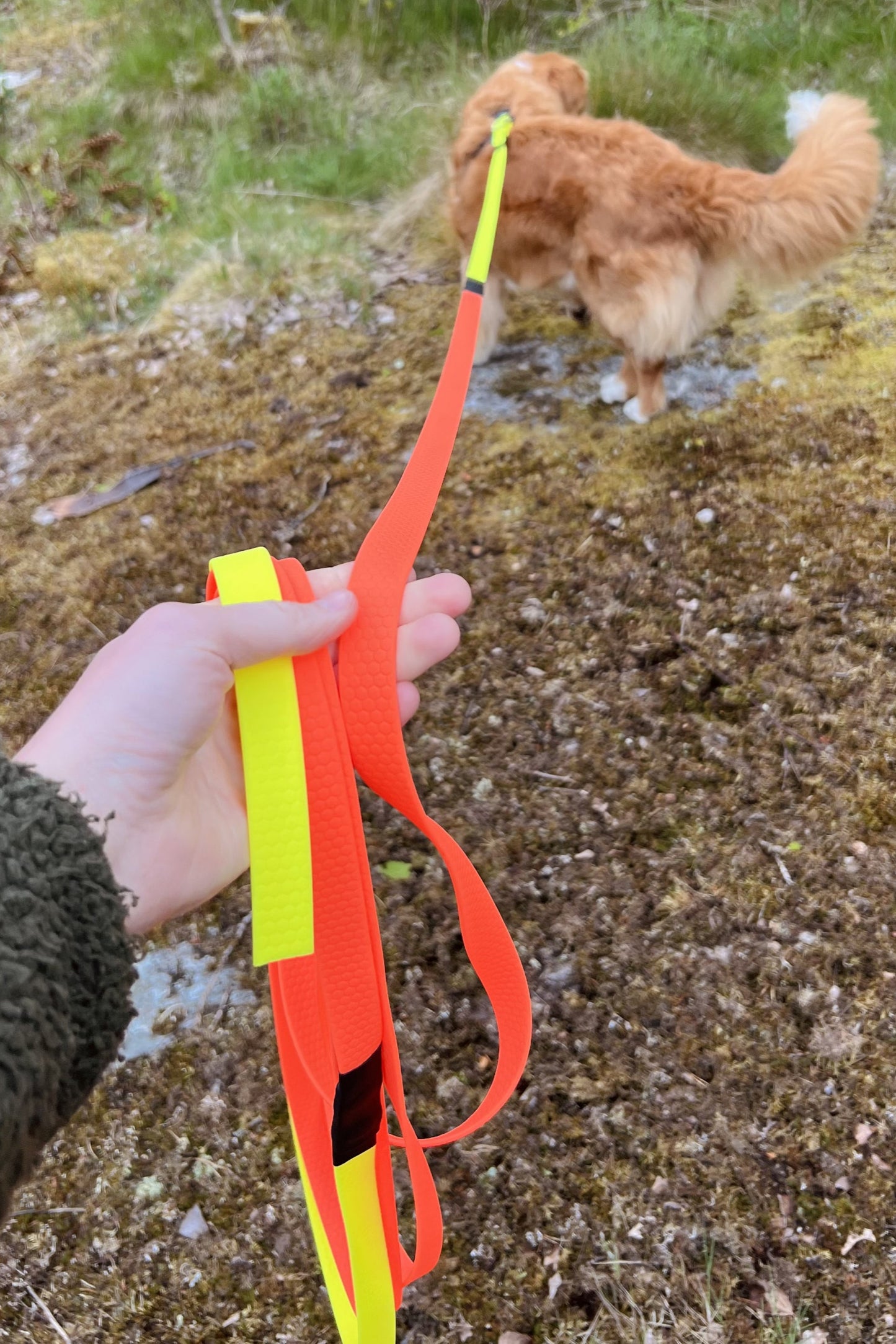 Häxa spårlina för eftersök och viltspår 6-12m