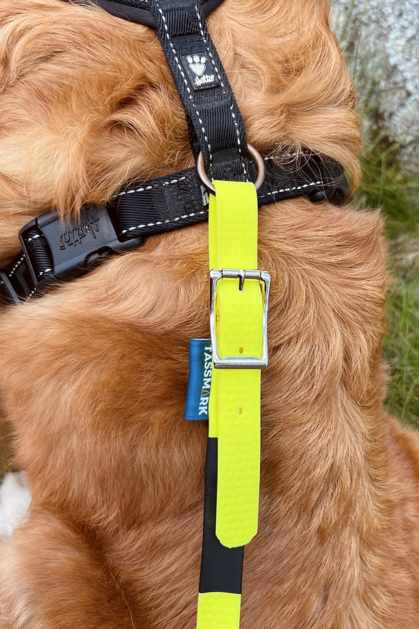 Häxa spårlina för eftersök och viltspår 6-12m