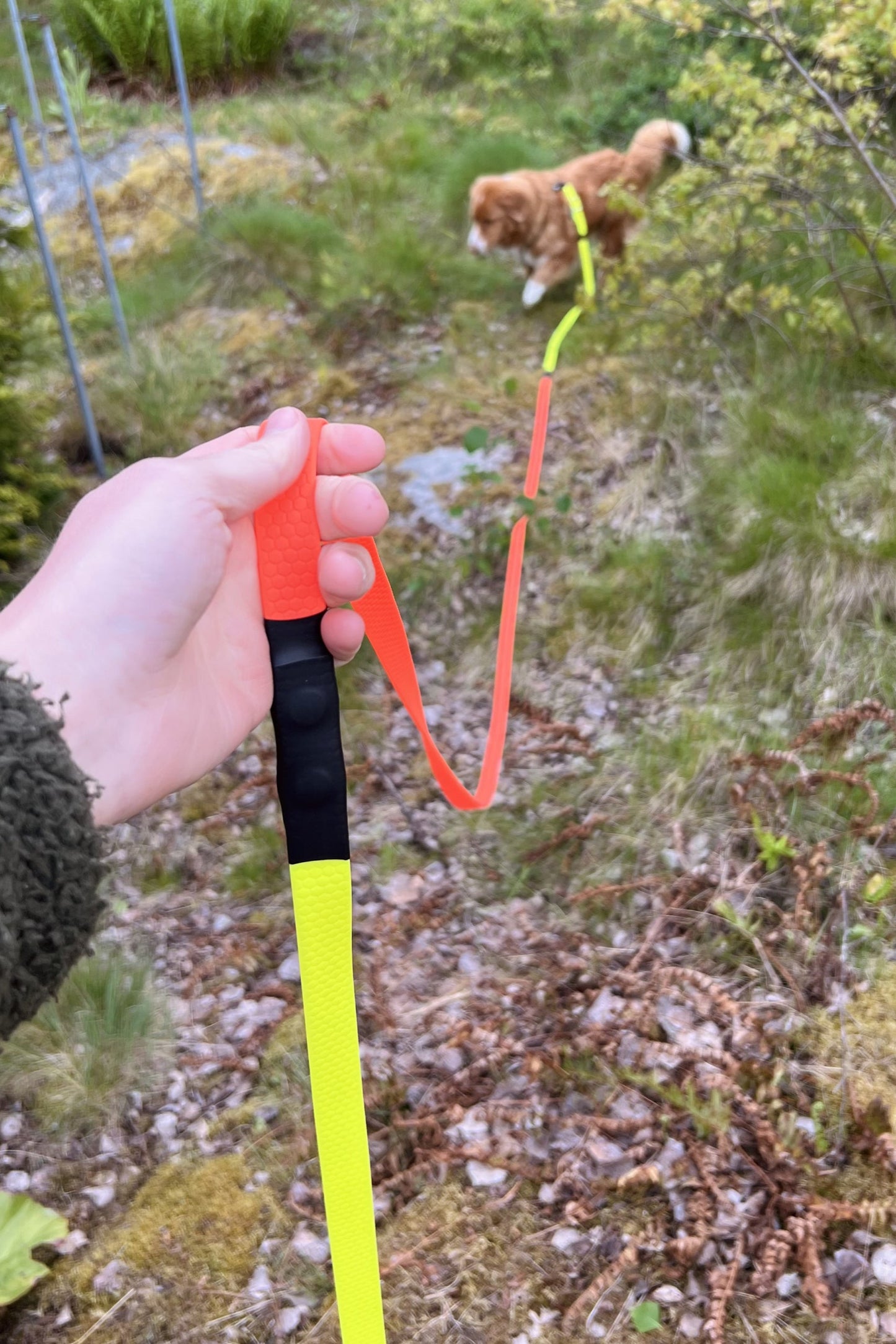 Häxa spårlina för eftersök och viltspår 6-12m