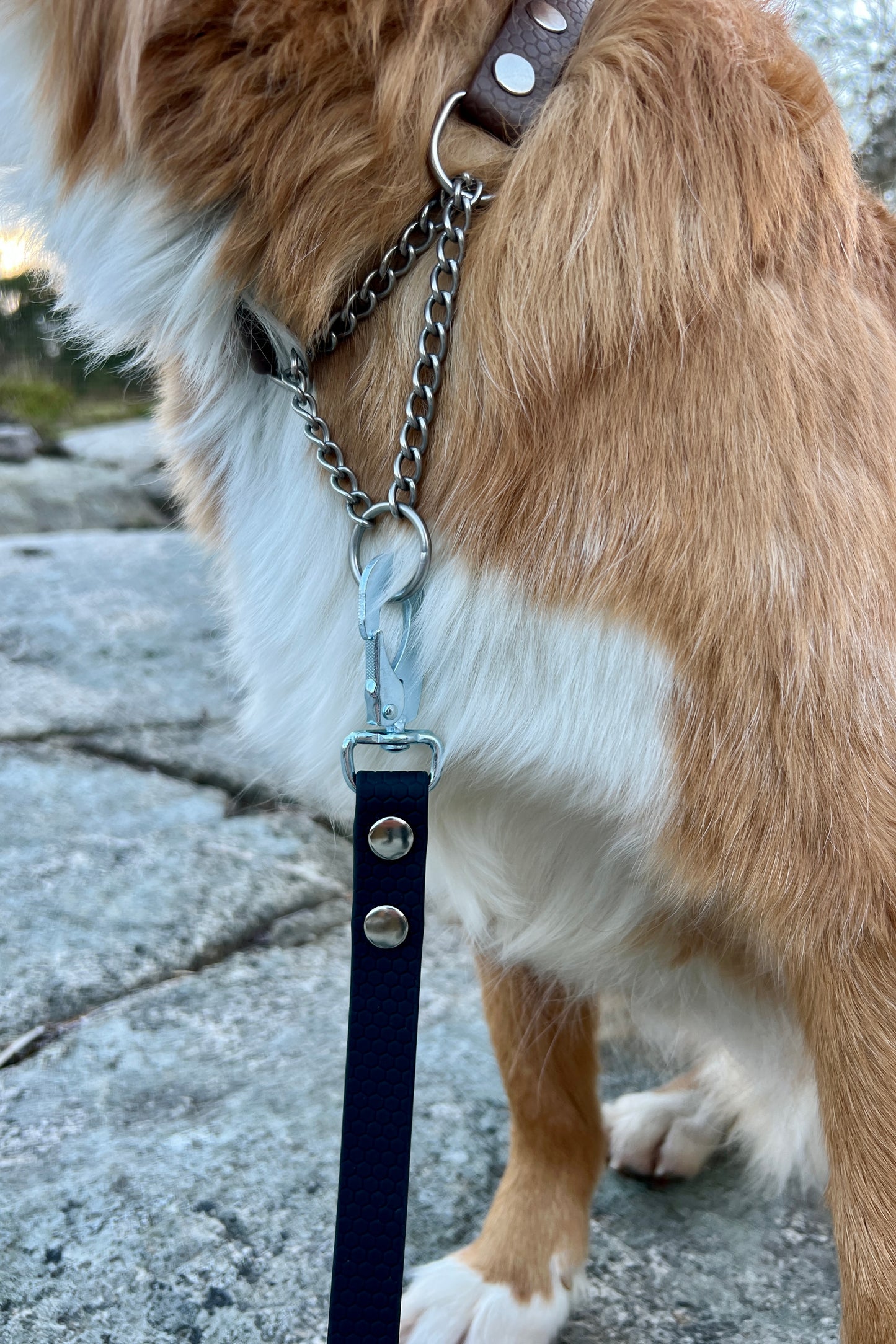 Svante hexa koppel (bred)