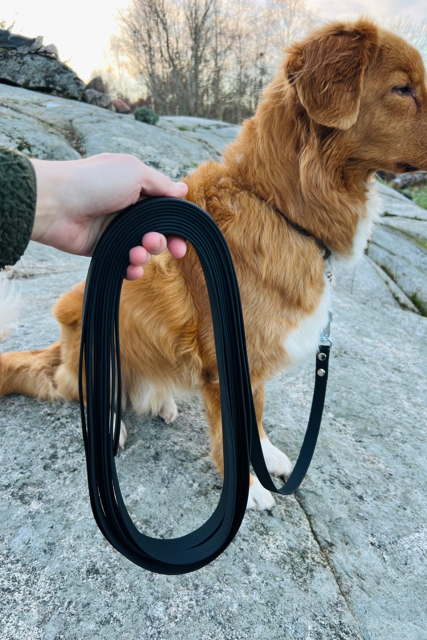 Zigge spårlina i hexa 5-20m (bred)