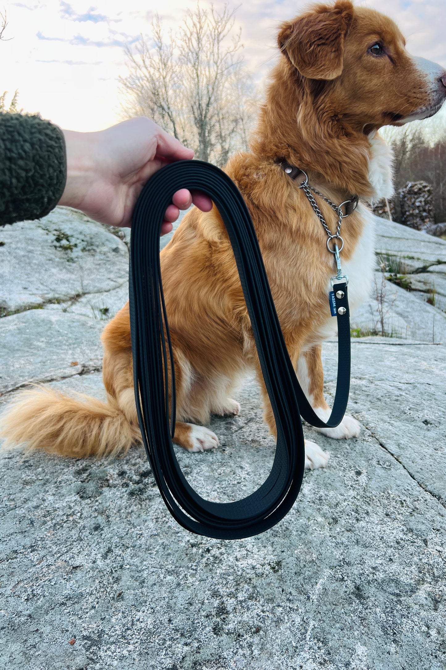 Zigge spårlina i hexa 5-20m (bred)