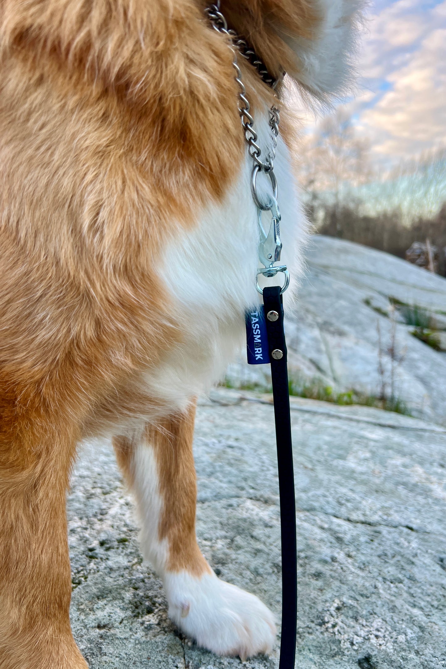 Tage sökkoppel utan handtag (smal)