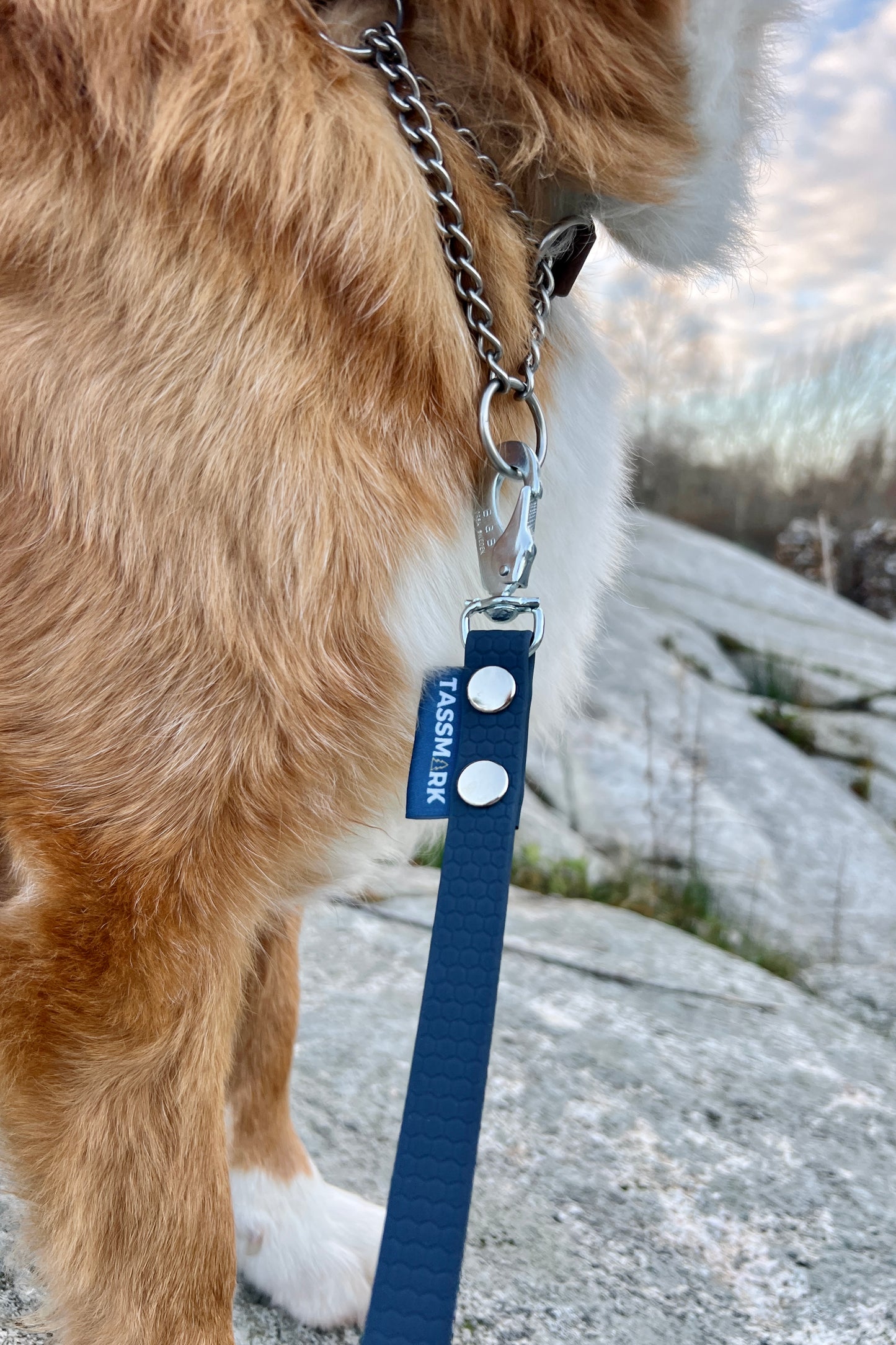 Tage sökkoppel utan handtag