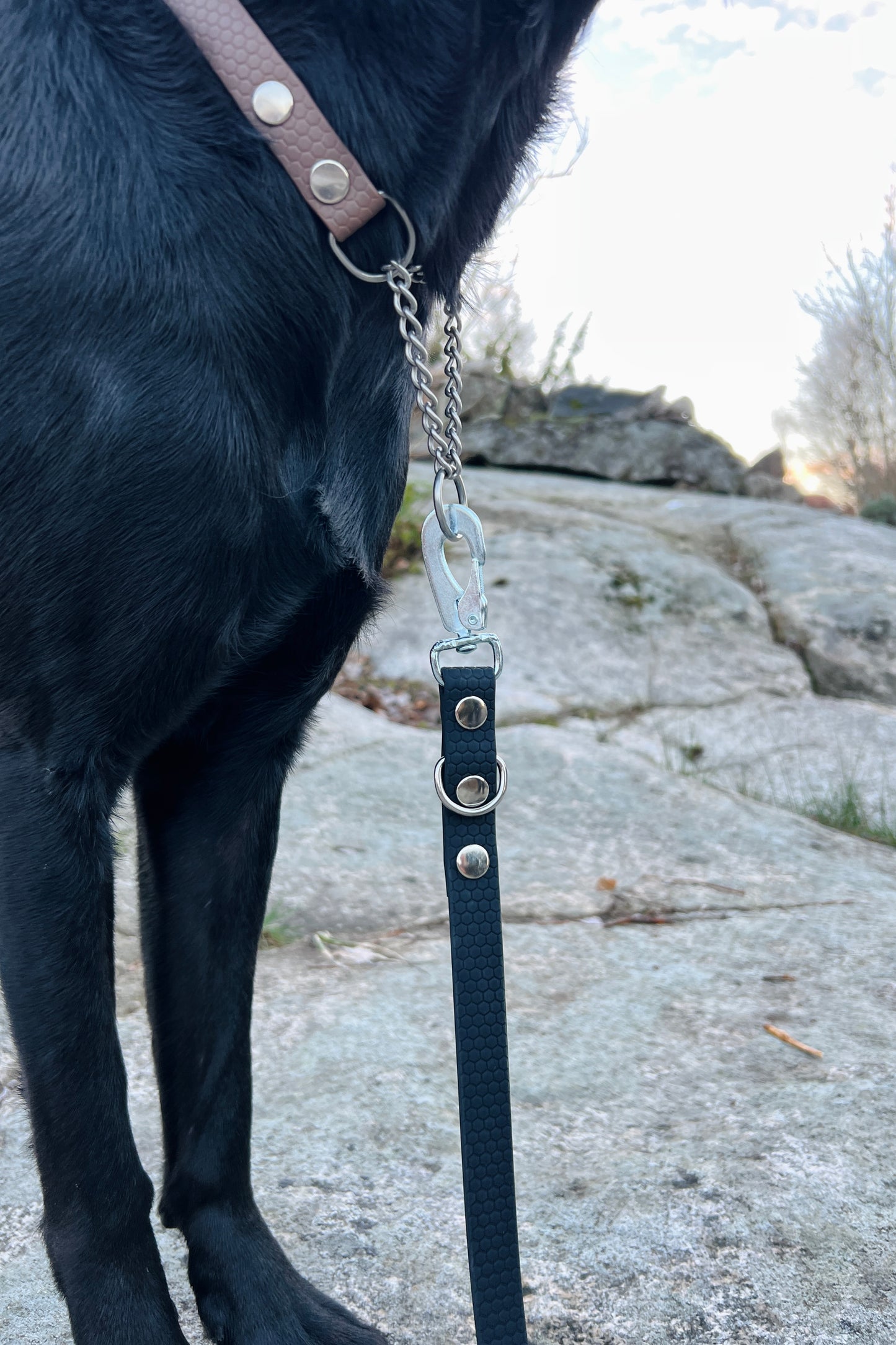 Rex justerbart multikoppel (bred)