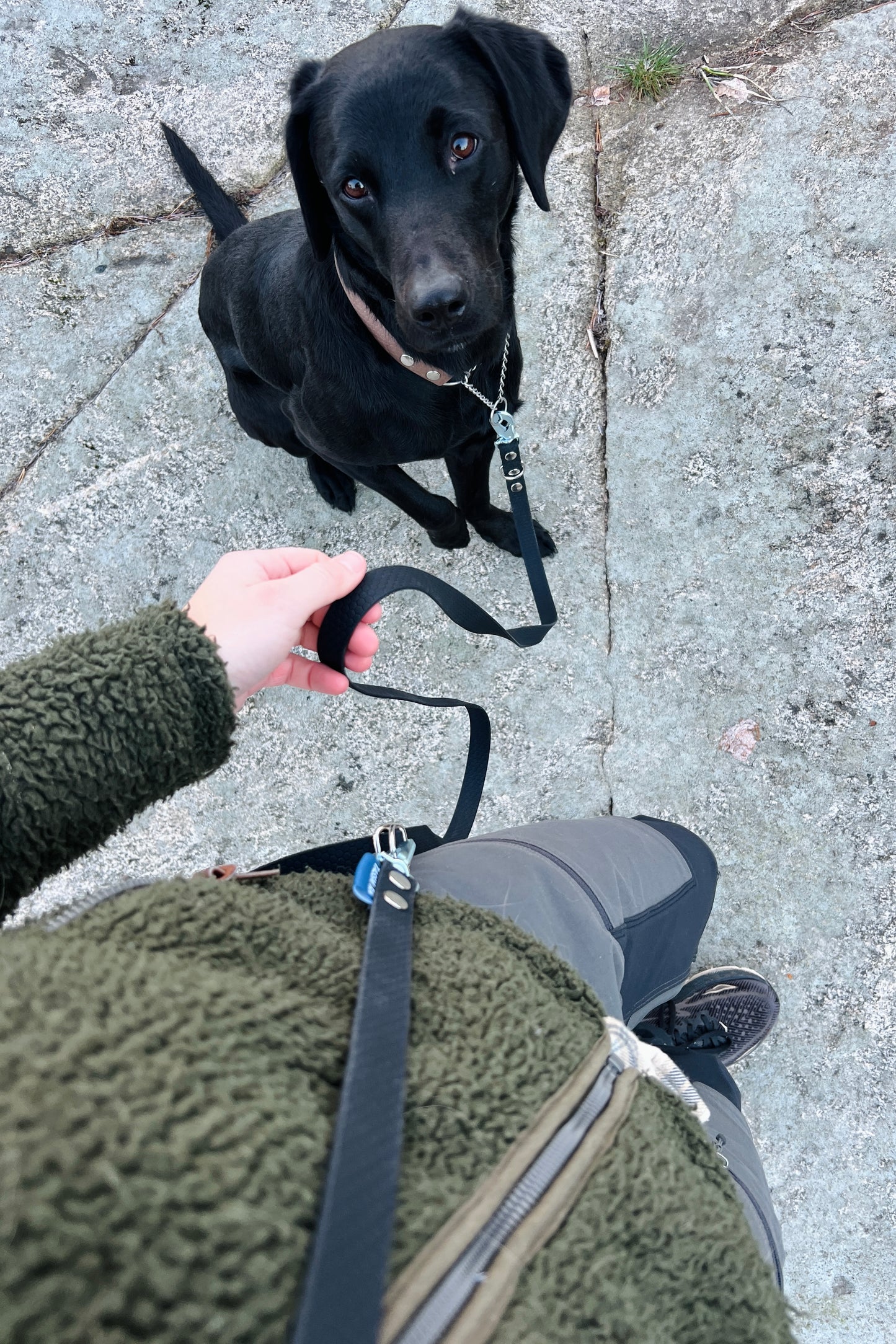 Rex justerbart multikoppel (bred)