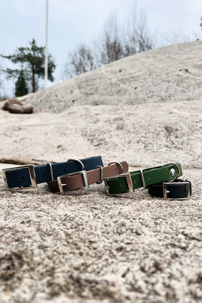 Saga classic dog collar