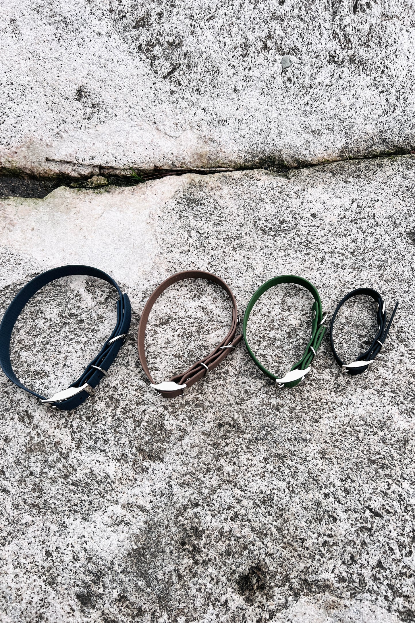 Saga classic dog collar