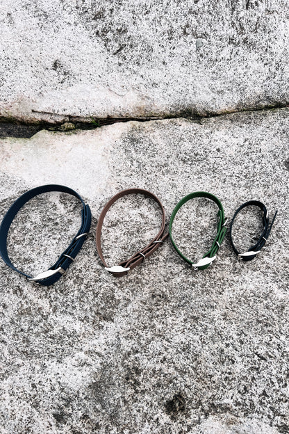 Saga classic dog collar