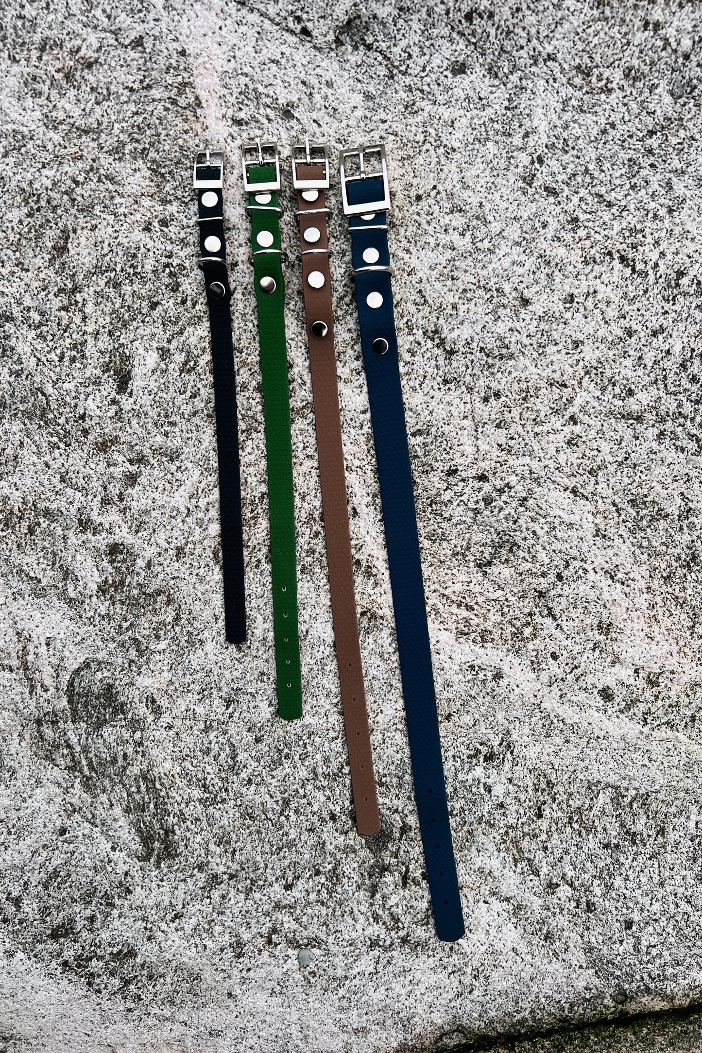 Saga classic dog collar