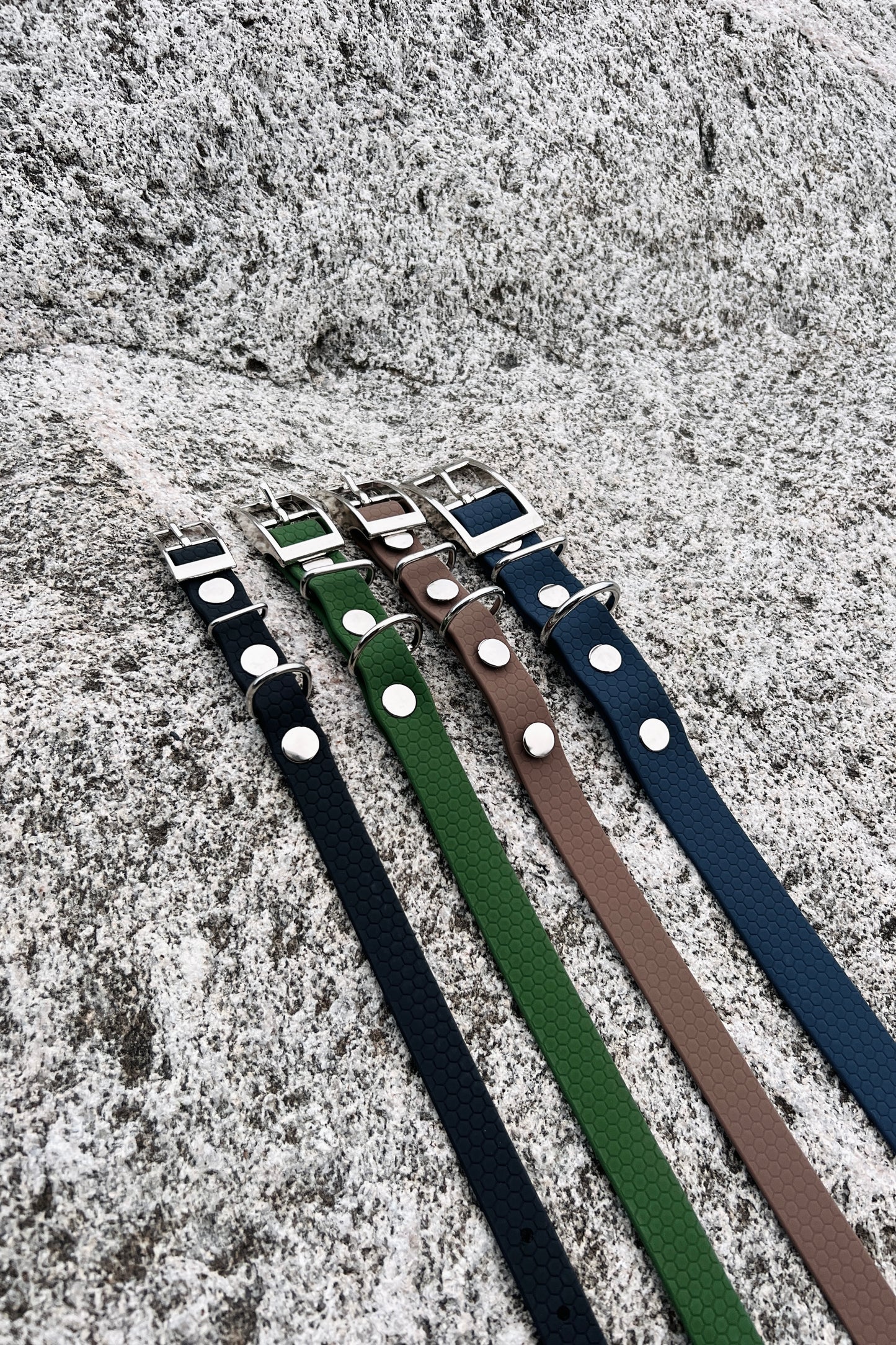 Saga classic dog collar