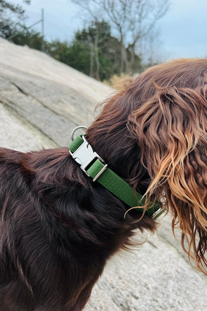 Sally adjustable dog collar