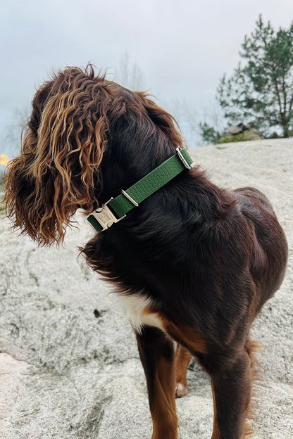 Sally adjustable dog collar