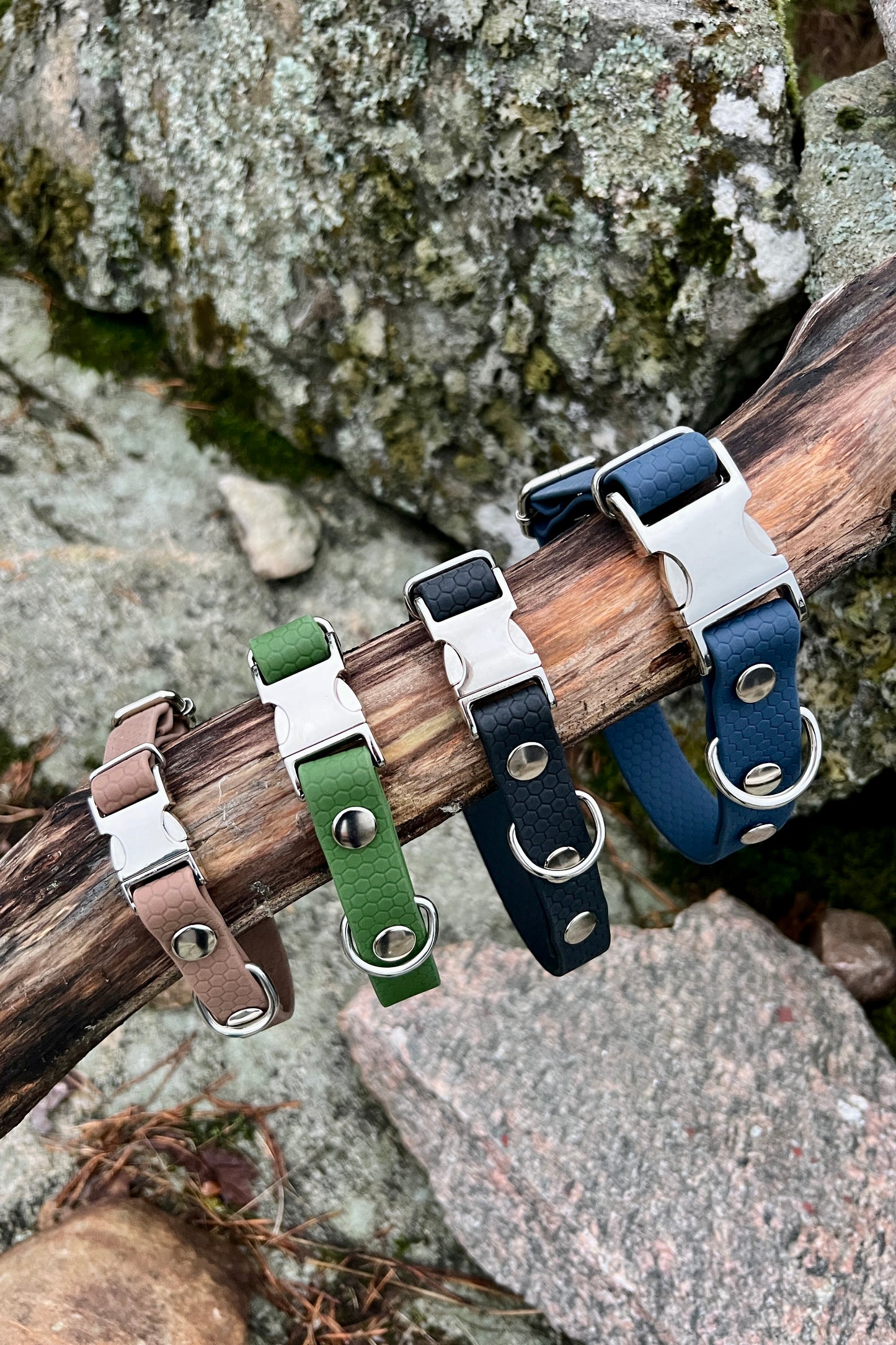 Sally adjustable dog collar