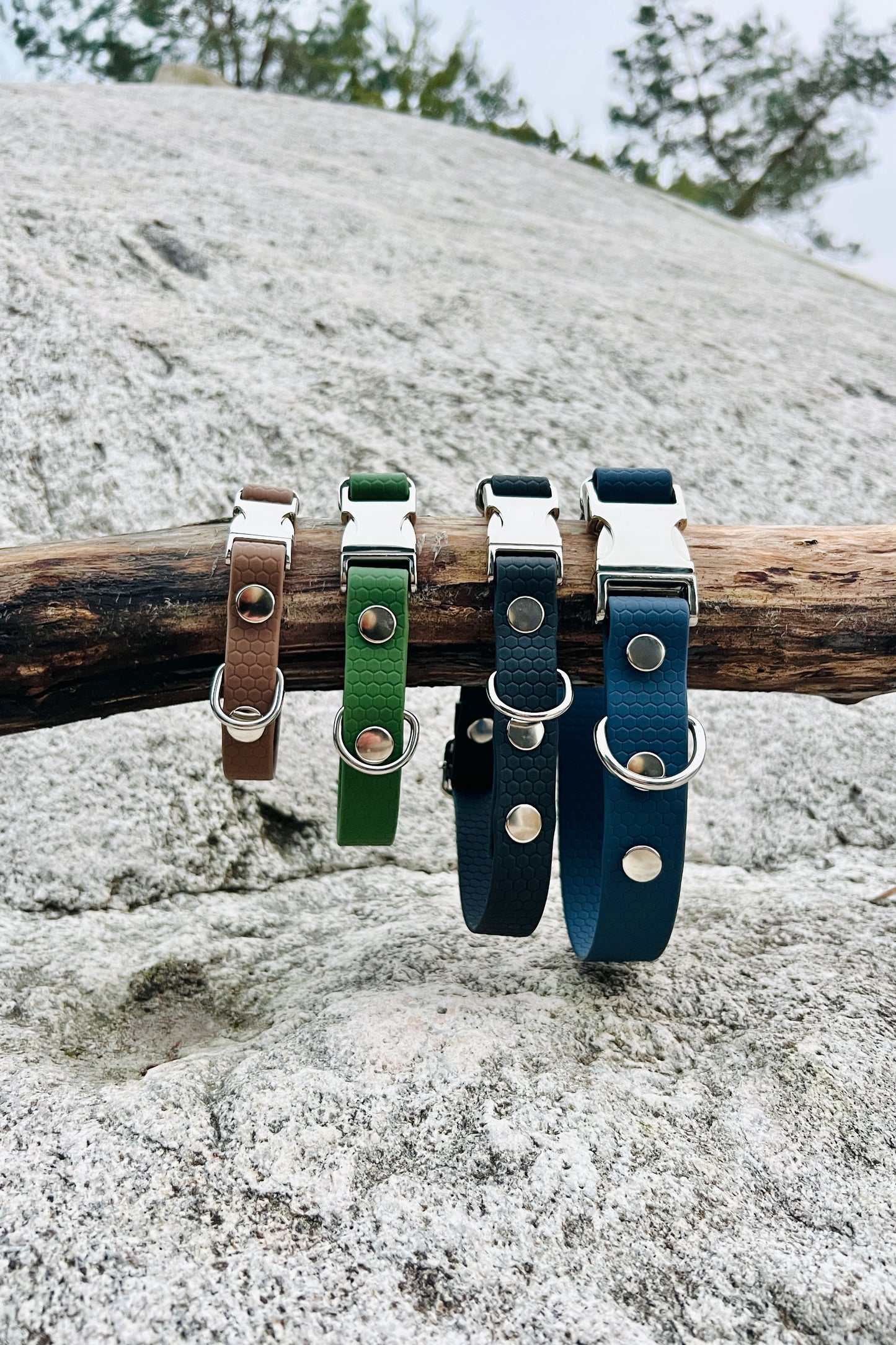 Sally adjustable dog collar