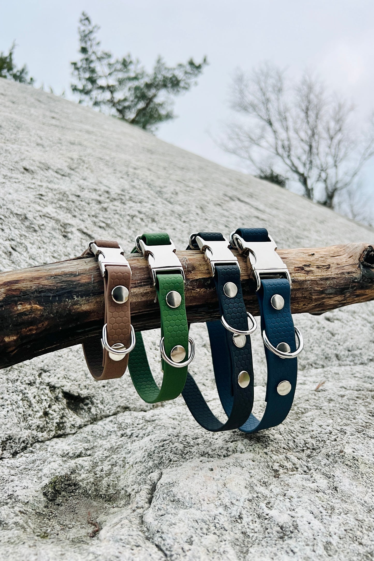 Sally adjustable dog collar