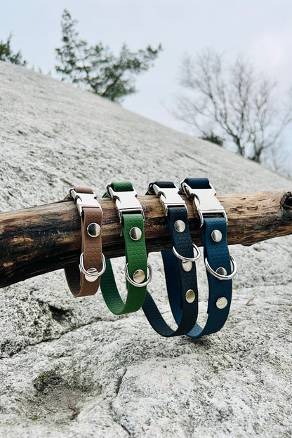 Sally adjustable dog collar