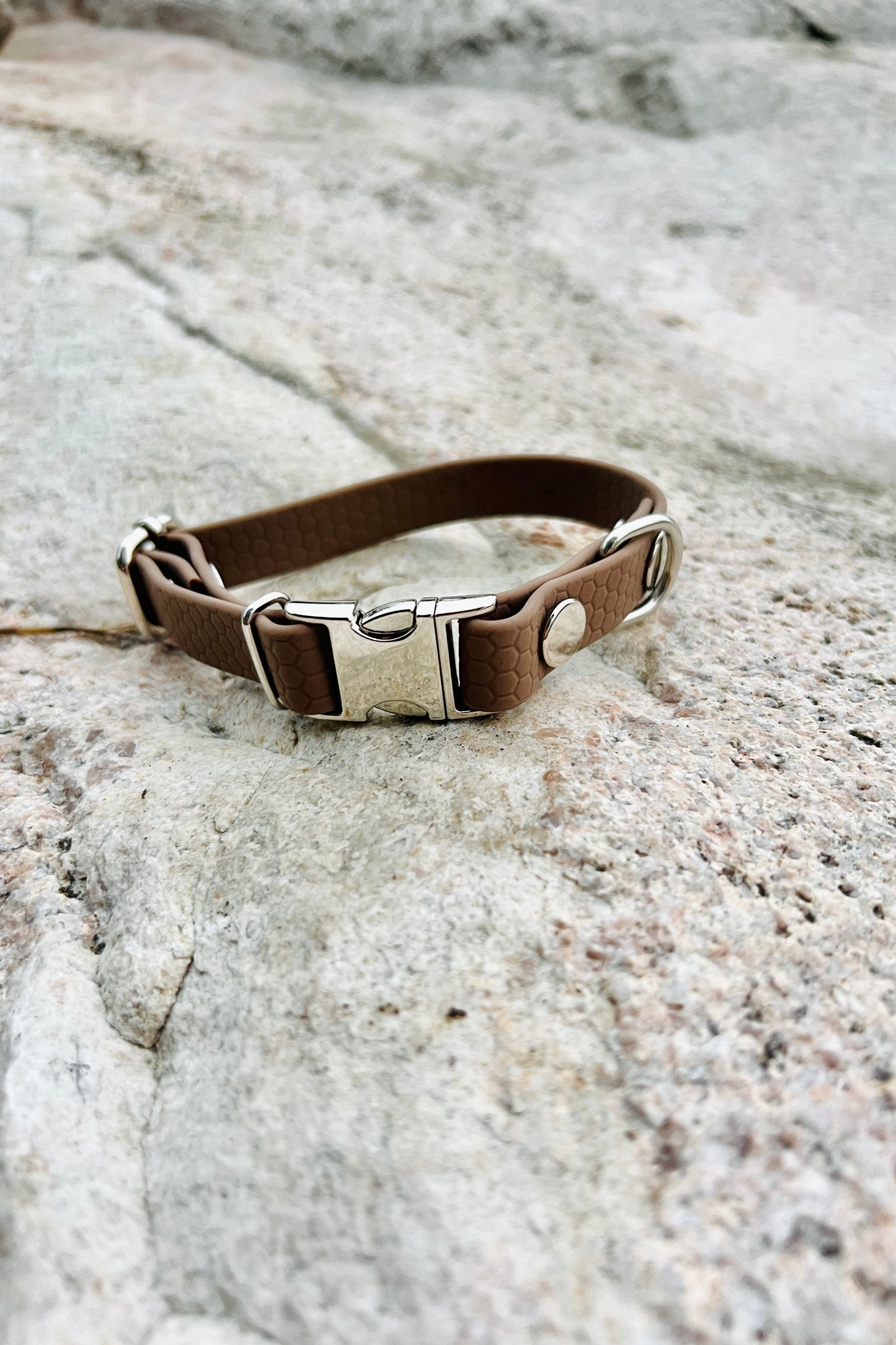 Sally adjustable dog collar