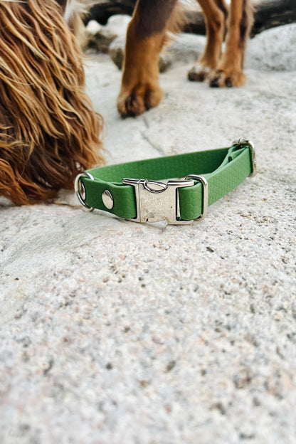 Sally adjustable dog collar