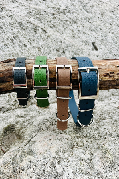 Saga classic dog collar