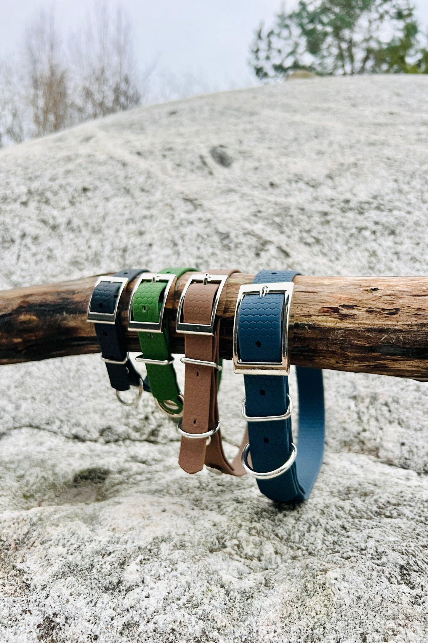 Saga classic dog collar