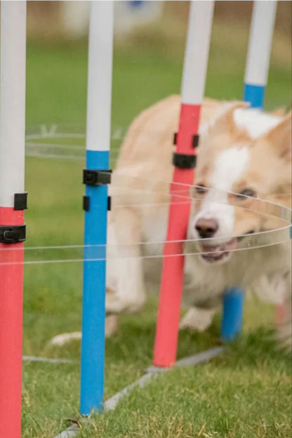 JENNY Bow transparenta slalombågar styck eller i set om 10. Hjälpmedel för att lära hunden slalom