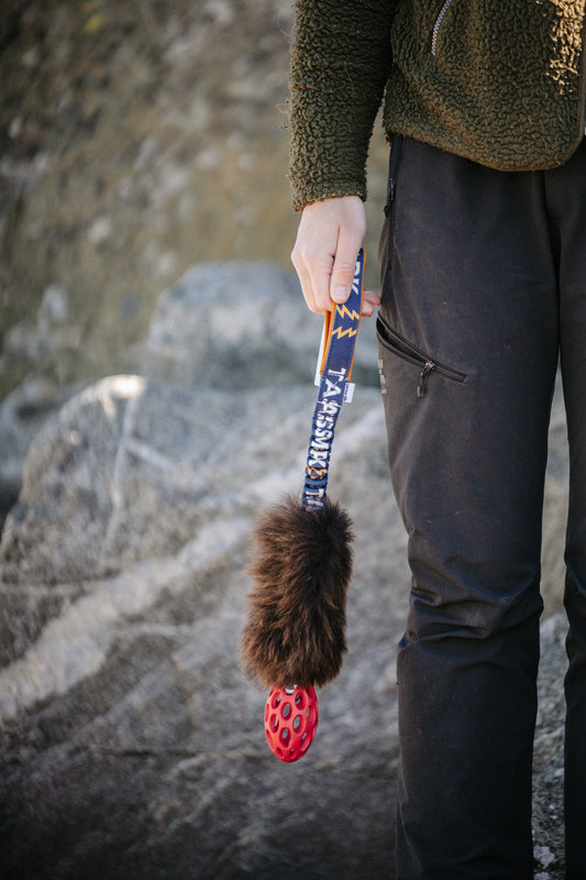 Tug Toy in Sheepskin – Hol-EE Football