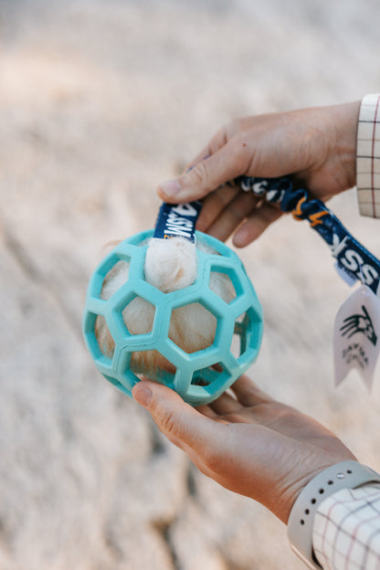 Tug Toy in Sheepskin – Hol-EE Football