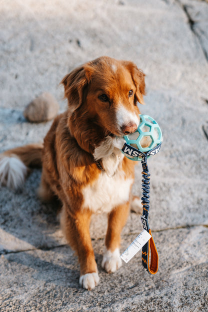 Tug Toy in Sheepskin – Hol-EE Football