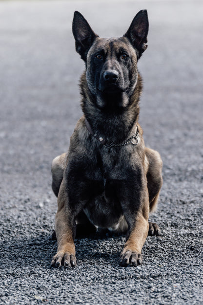 Agda halvstryp halsband med kedja