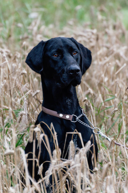 Agda halvstryp halsband med kedja