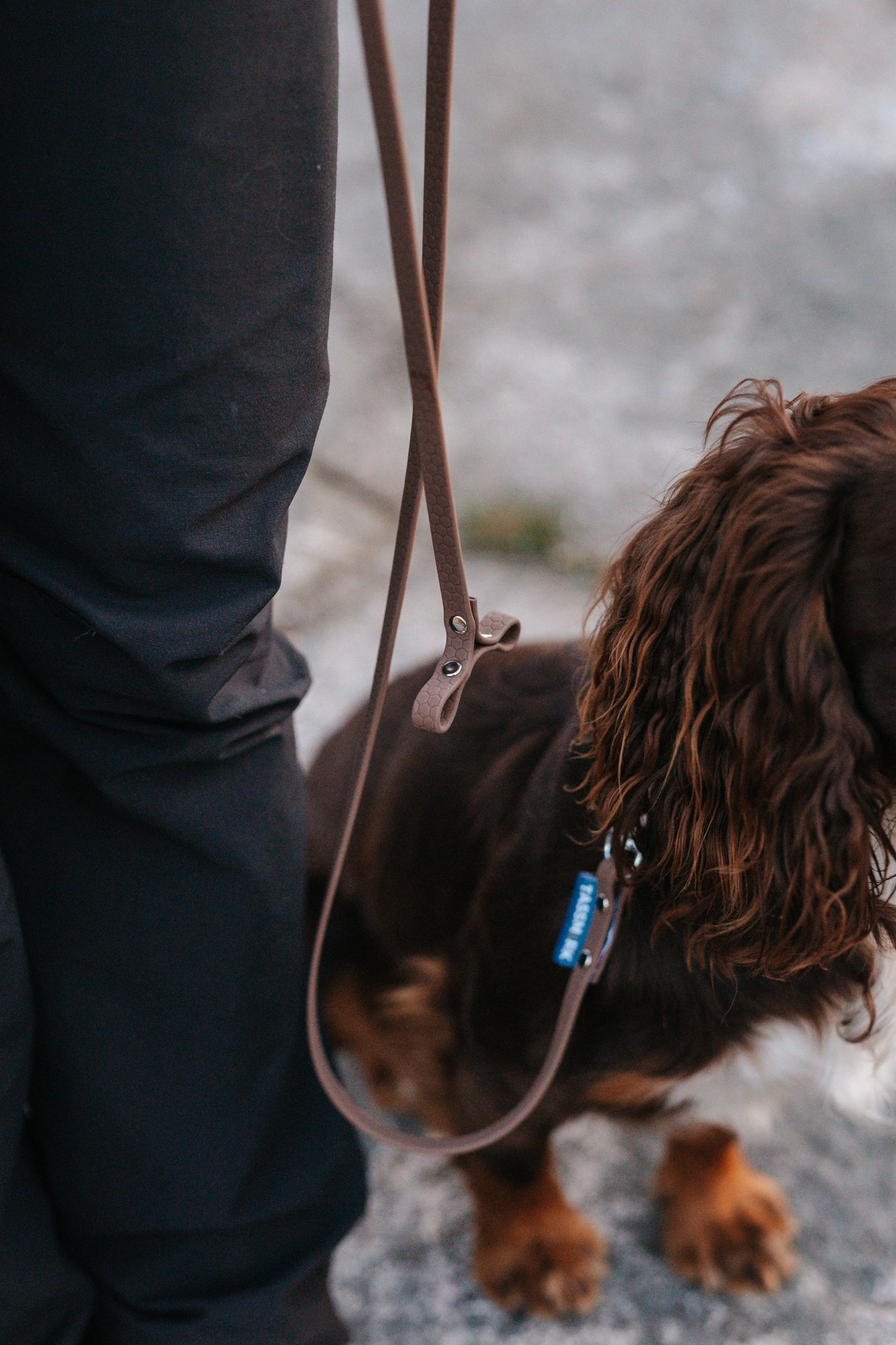 Svante hexa leash