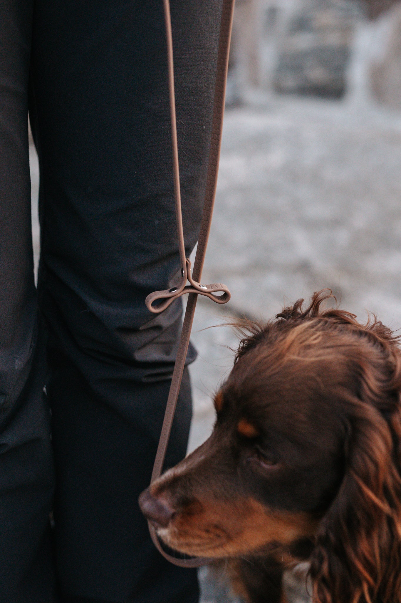 Svante hexa leash