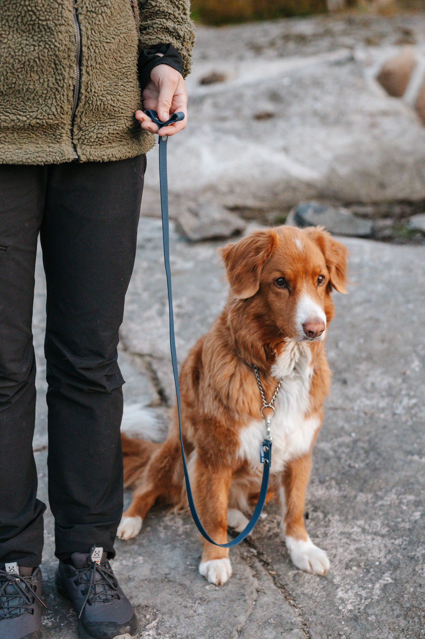 Svante hexa leash