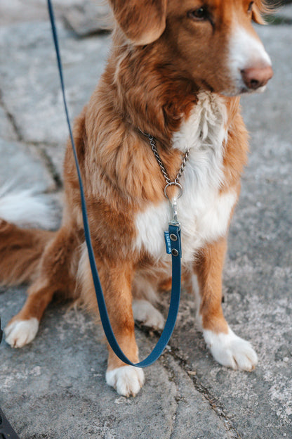 Svante hexa leash