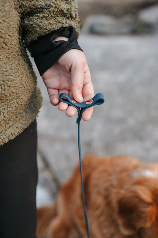 Svante hexa leash