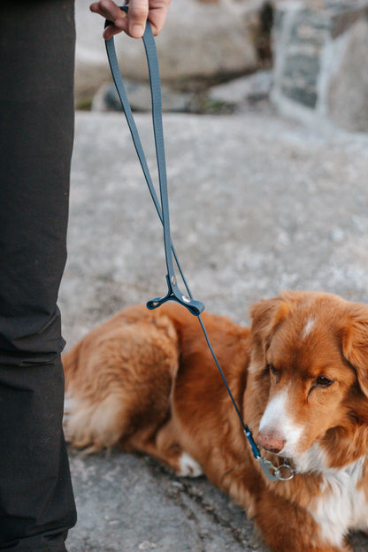 Svante hexa leash