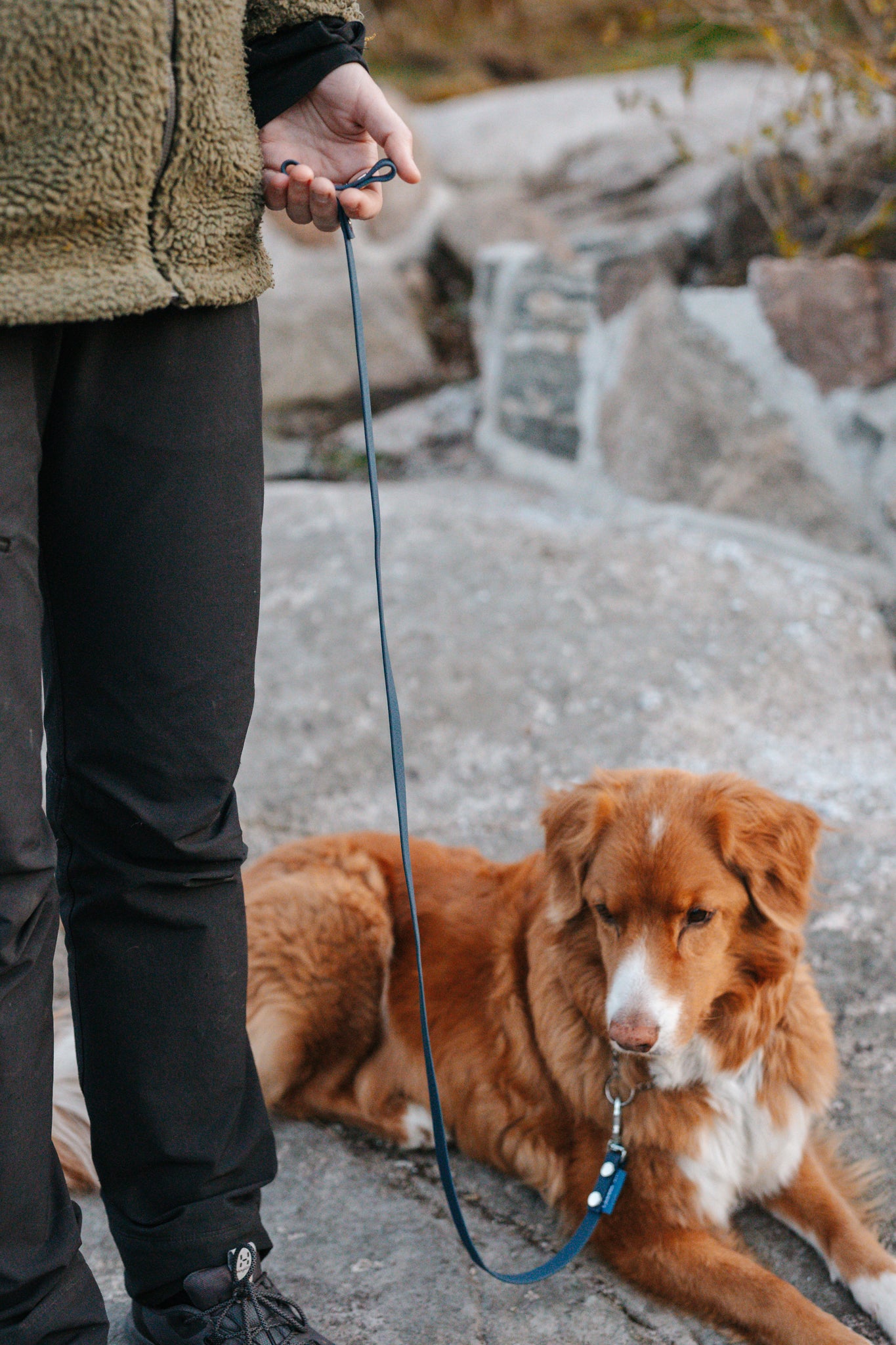 Svante hexa leash