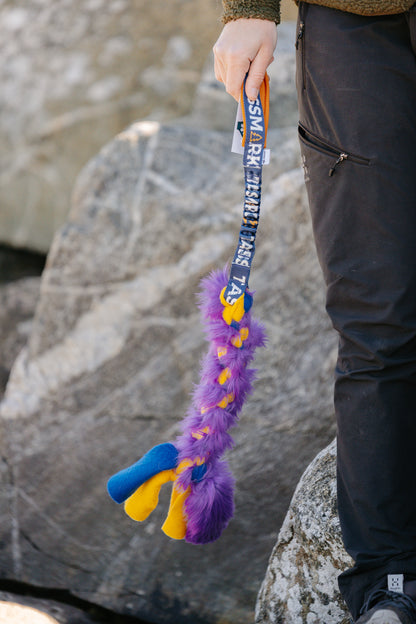 Durable tug toy – bungee braid