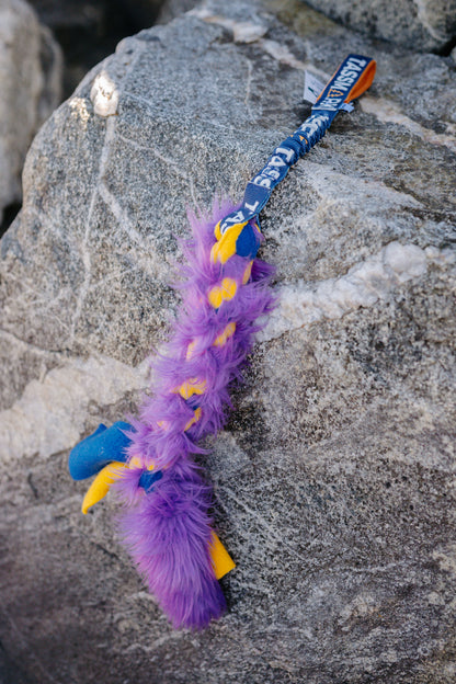 Durable tug toy – bungee braid
