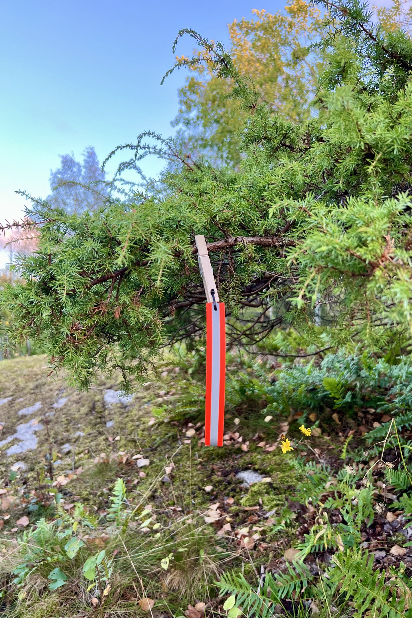 Snitselpaket för spår 6 – 24-pack