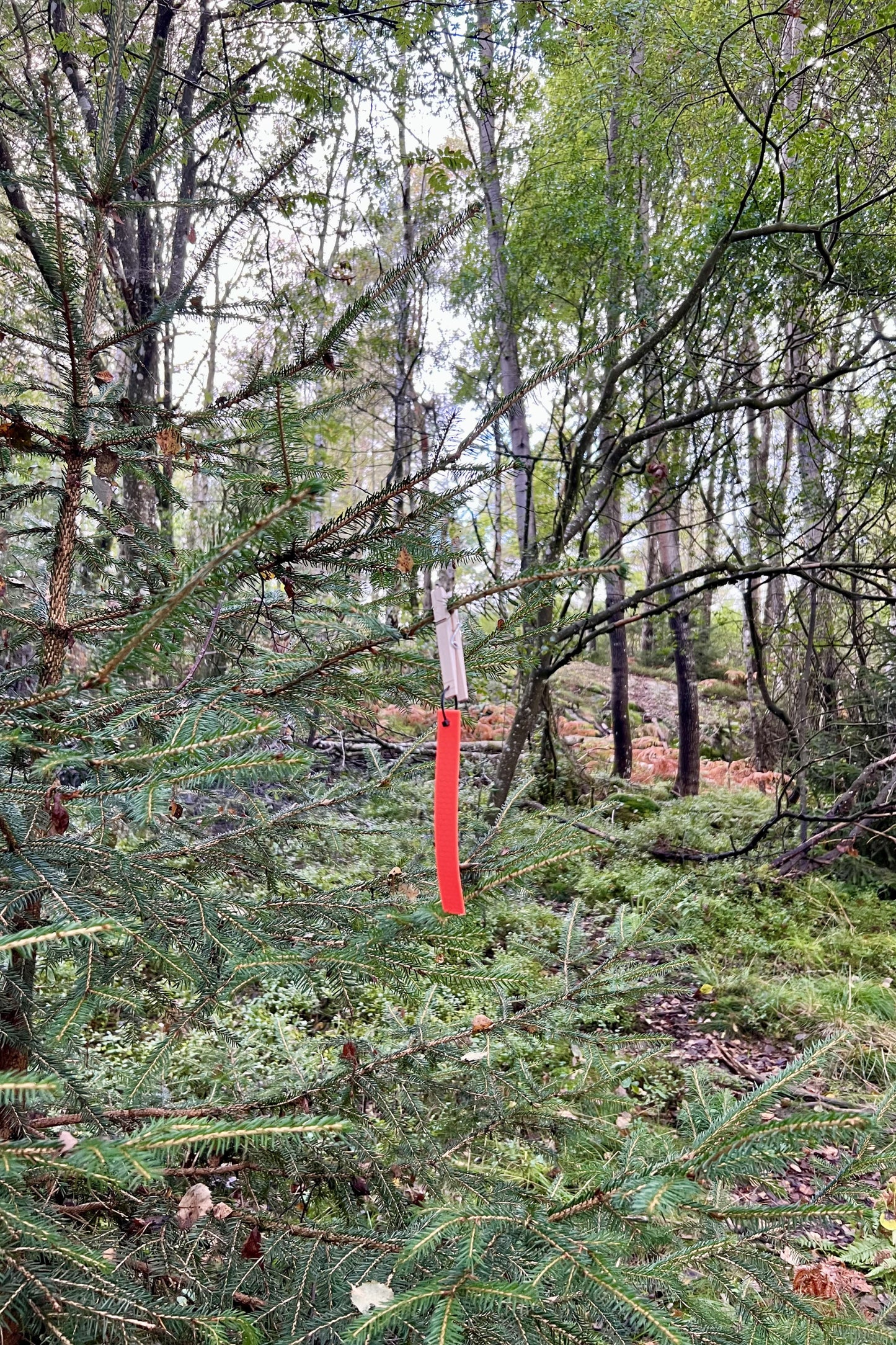 Snitselpaket för spår 6 – 24-pack